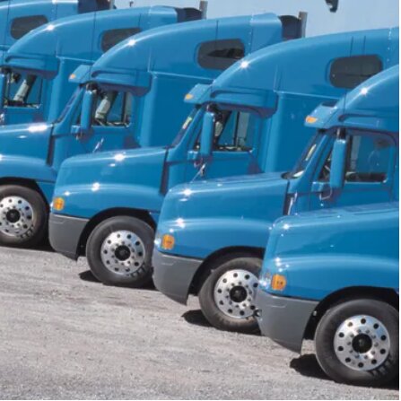 Row of blue Charlieboi trucks