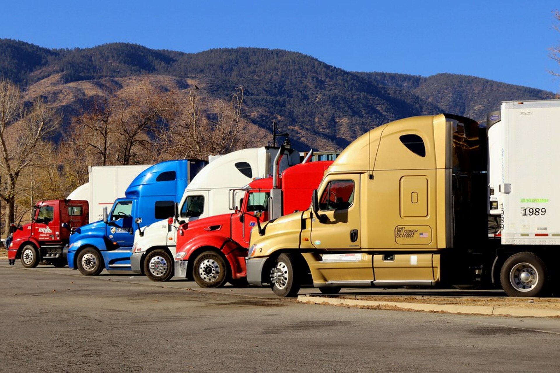 Charlieboi Transport fleet lined up